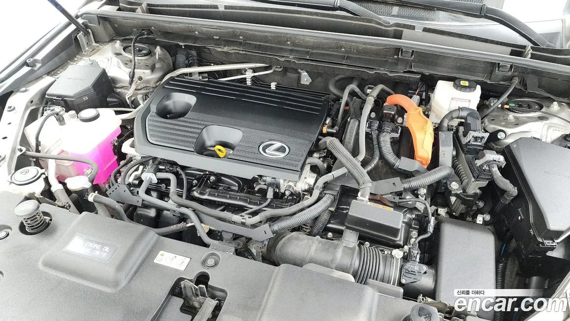 Lexus NX 2023 из KR, фото 10