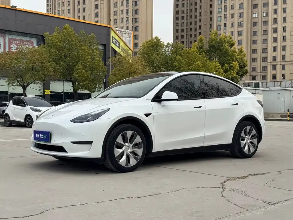 Tesla Model Y — фото 1