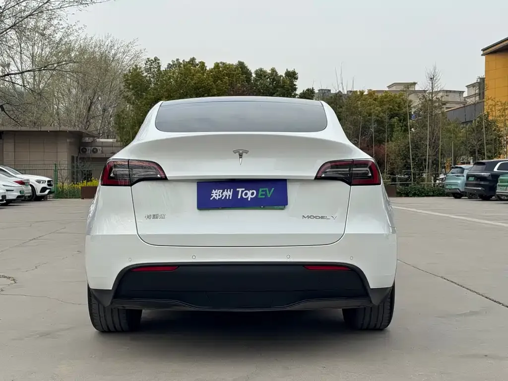 Tesla Model Y — фото 2