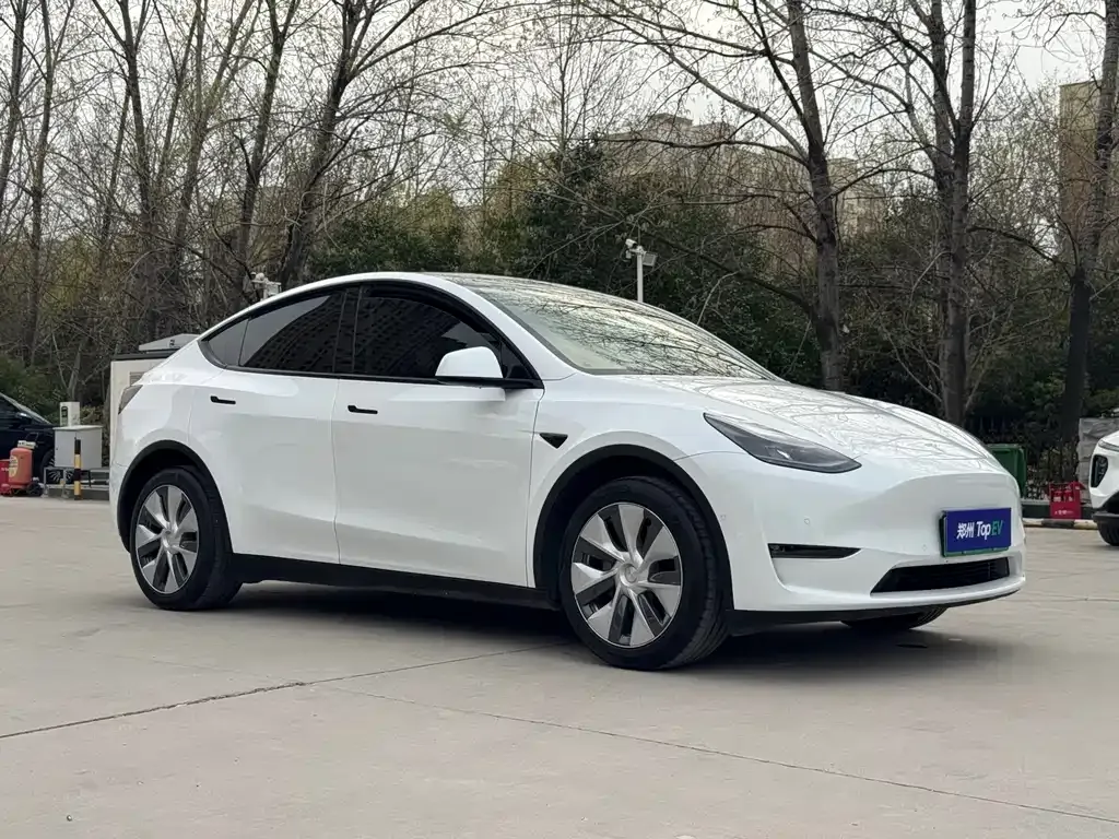 Tesla Model Y — фото 8