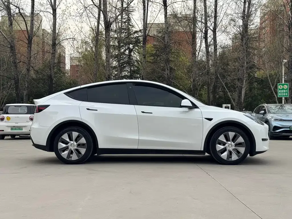 Tesla Model Y — фото 10