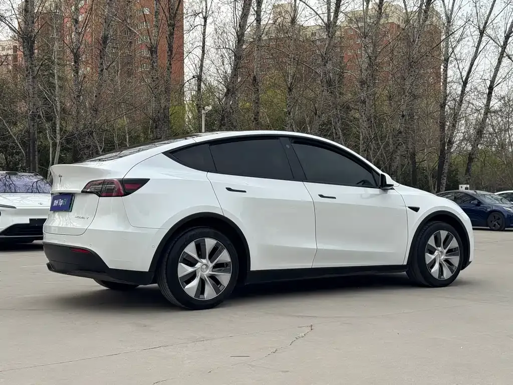Tesla Model Y — фото 9