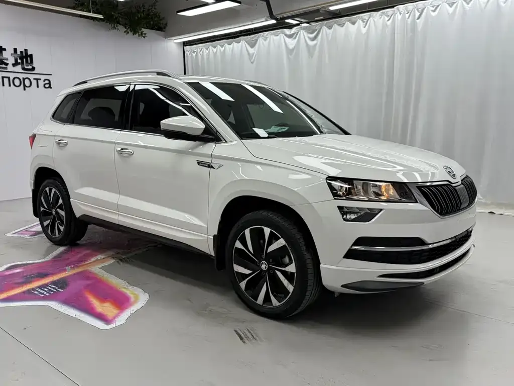 Skoda Karoq — фото 7
