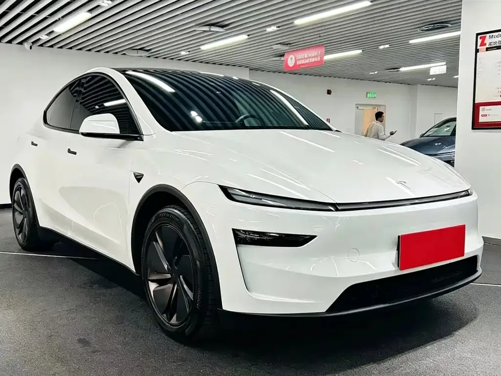 Tesla Model Y — фото 9