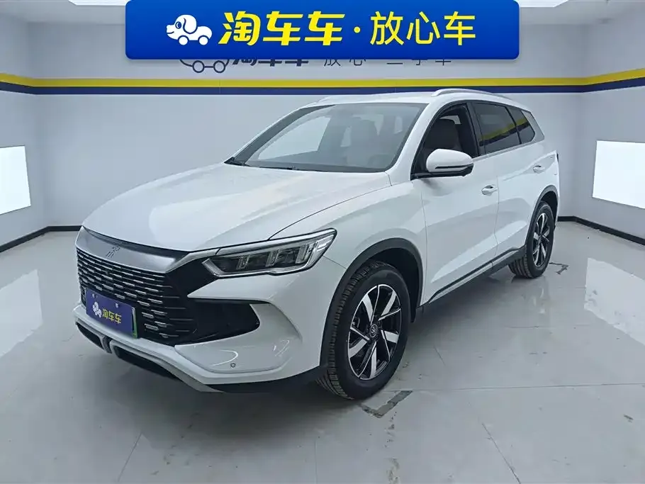BYD Pro New Energy