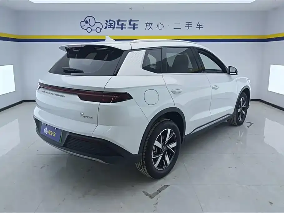 BYD Pro New Energy 2024 из CN, фото 4