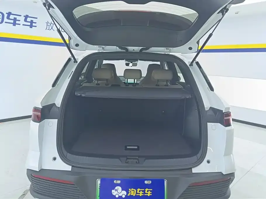 BYD Pro New Energy 2024 из CN, фото 6