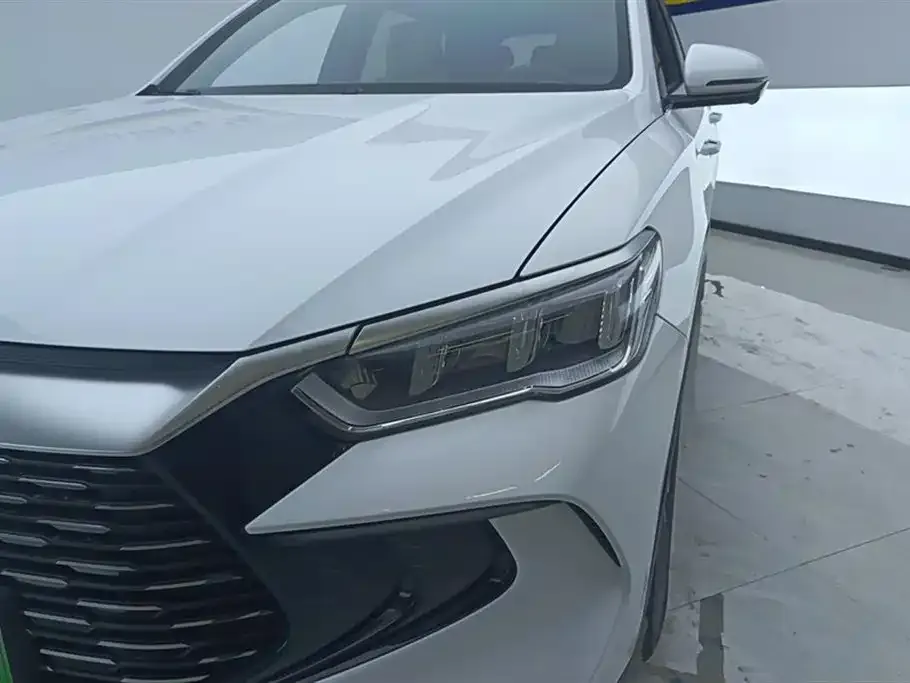 BYD Pro New Energy 2024 из CN, фото 5