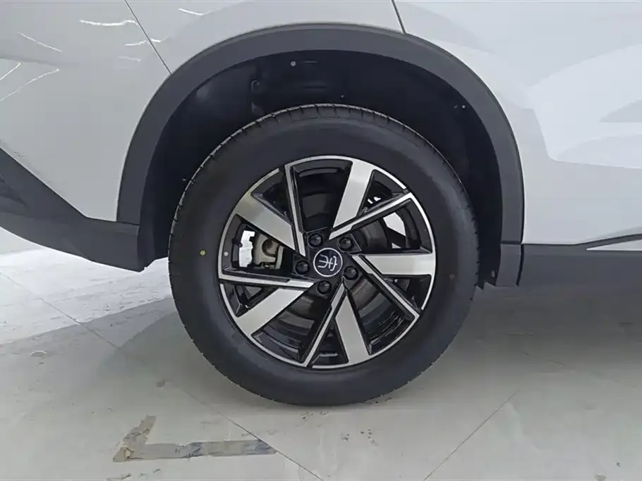 BYD Pro New Energy 2024 из CN, фото 2