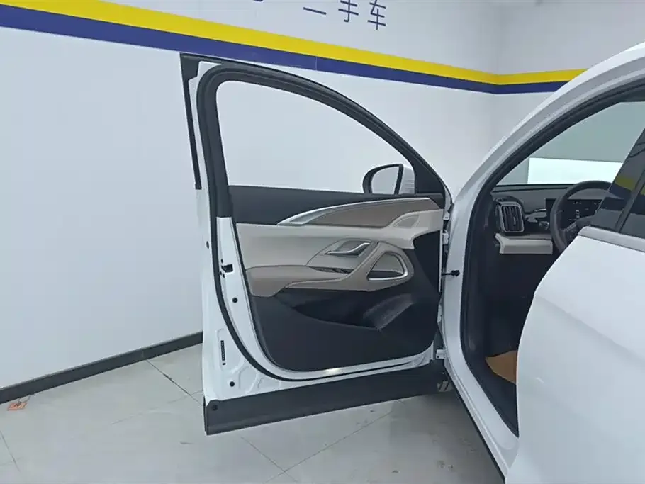 BYD Pro New Energy 2024 из CN, фото 7