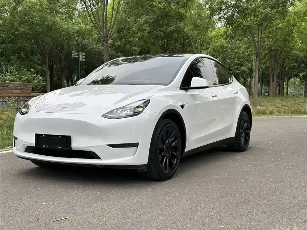 Tesla Model Y — фото 1