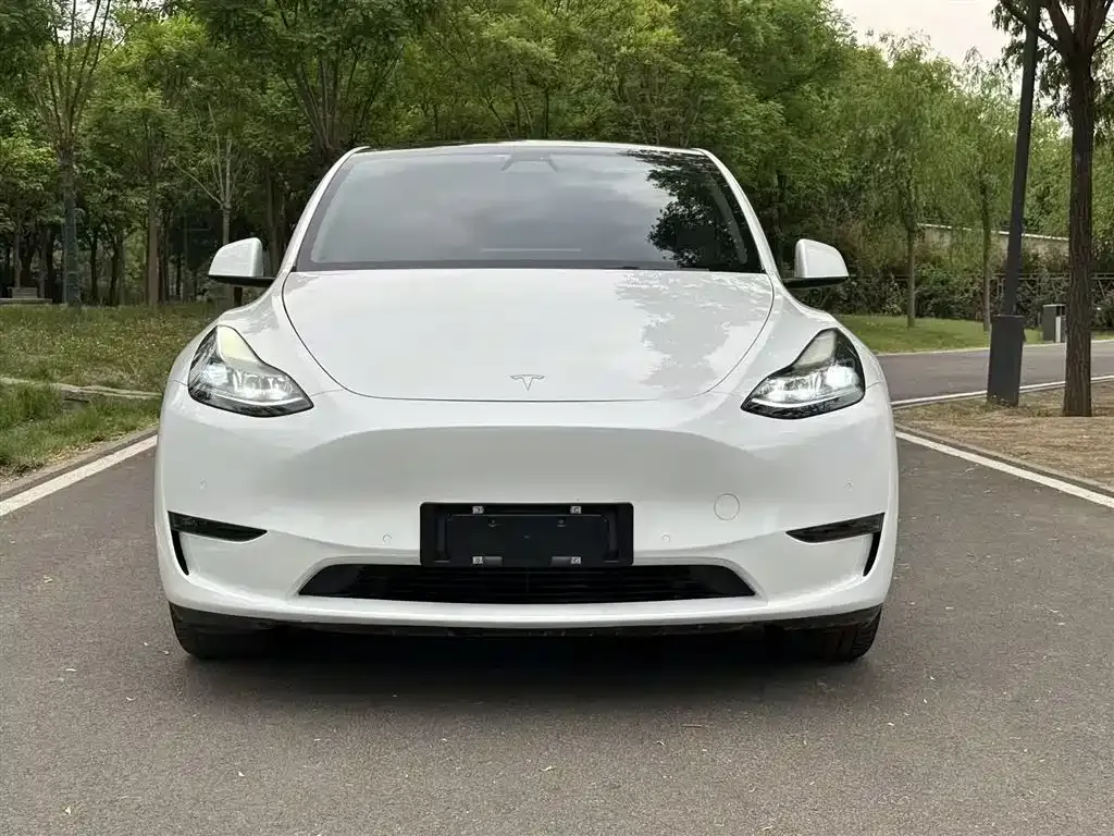 Tesla Model Y — фото 10