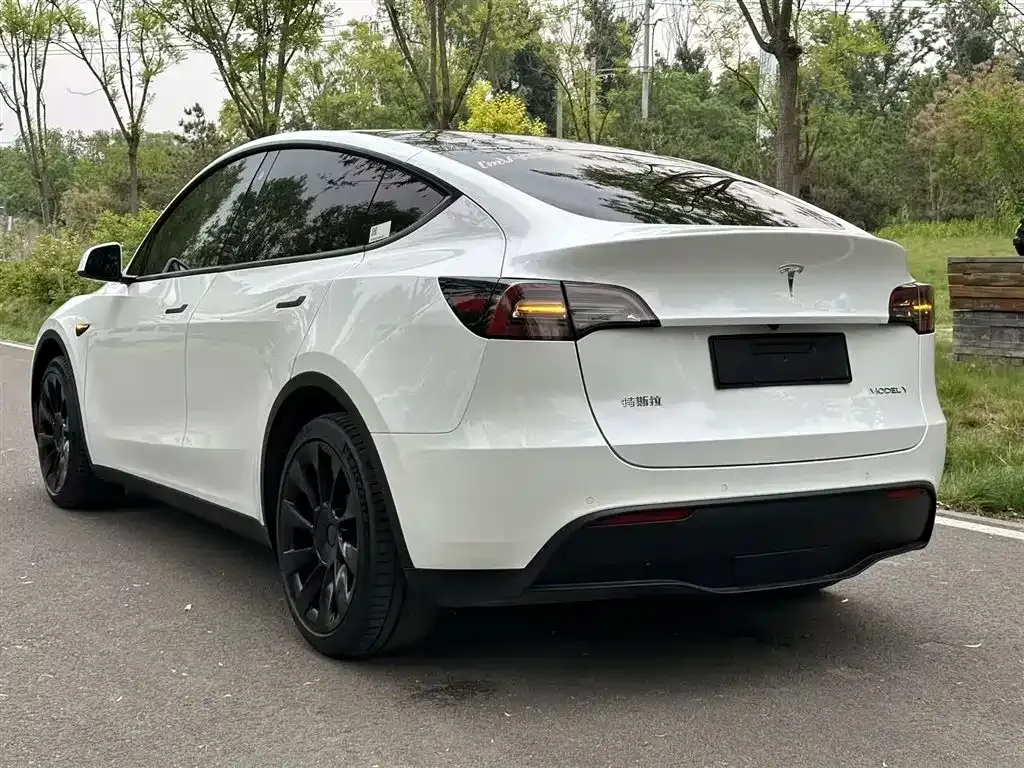 Tesla Model Y — фото 6