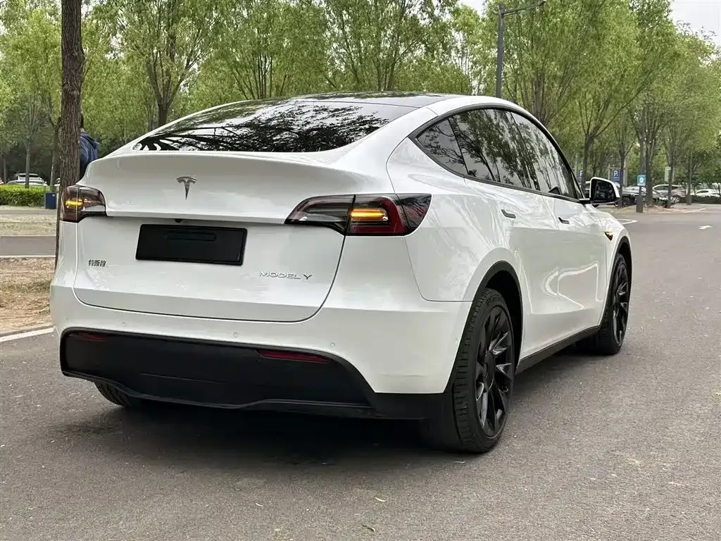 Tesla Model Y — фото 5