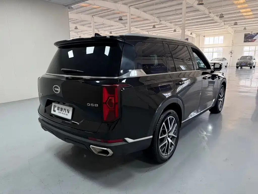 GAC Motor Trumpchi GS8 — фото 6
