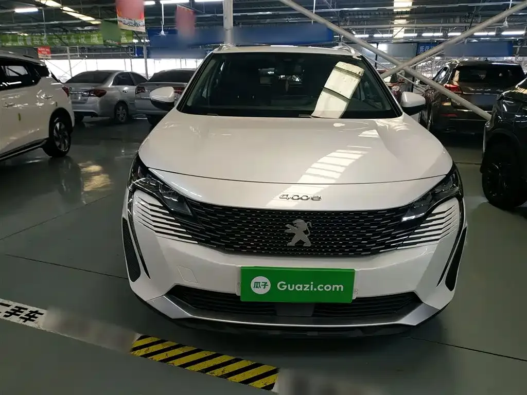 Peugeot 4008 2021 из CN, фото 9