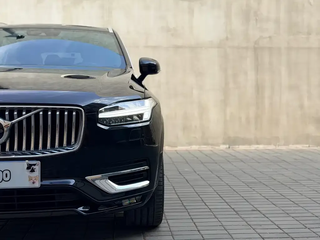 Volvo XC90 — фото 8