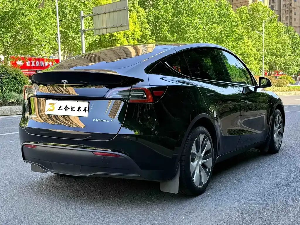 Tesla Model Y — фото 9