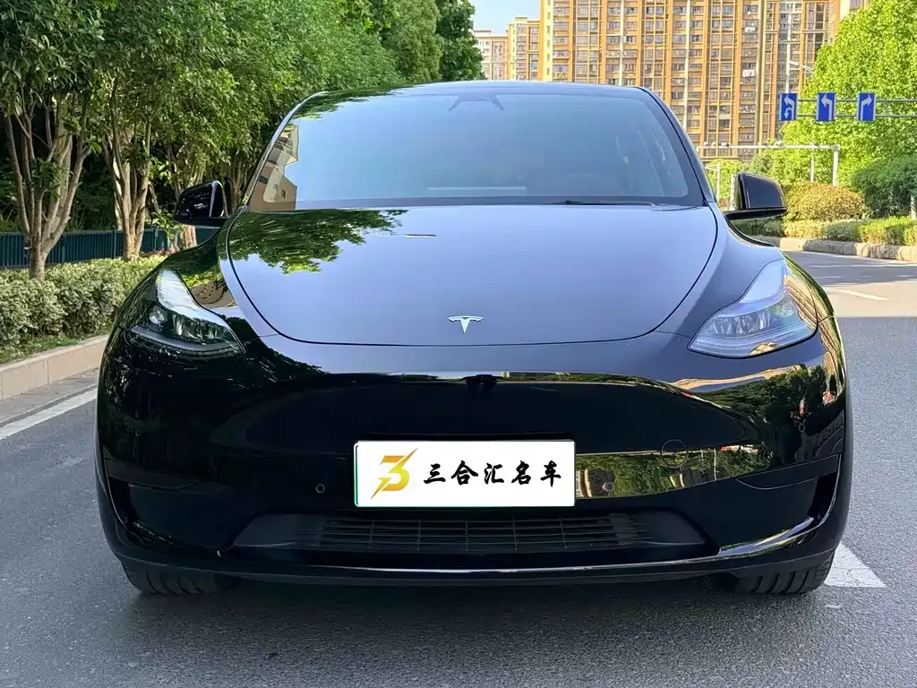Tesla Model Y — фото 3