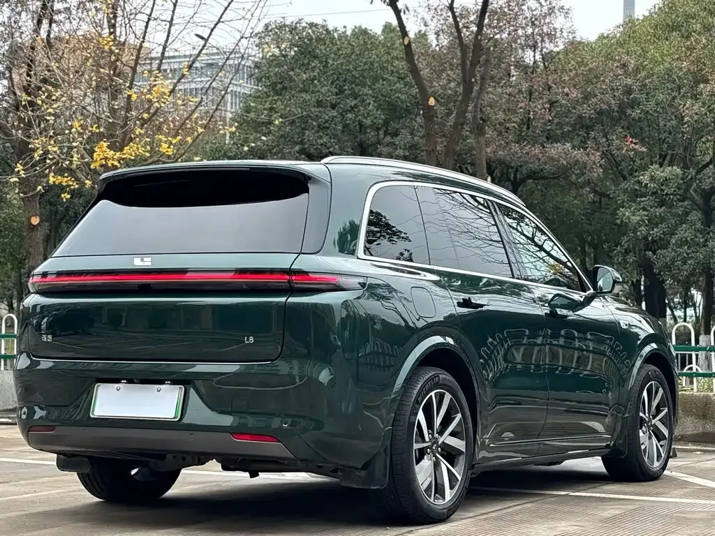 Li Auto L8 2023 из CN, фото 6