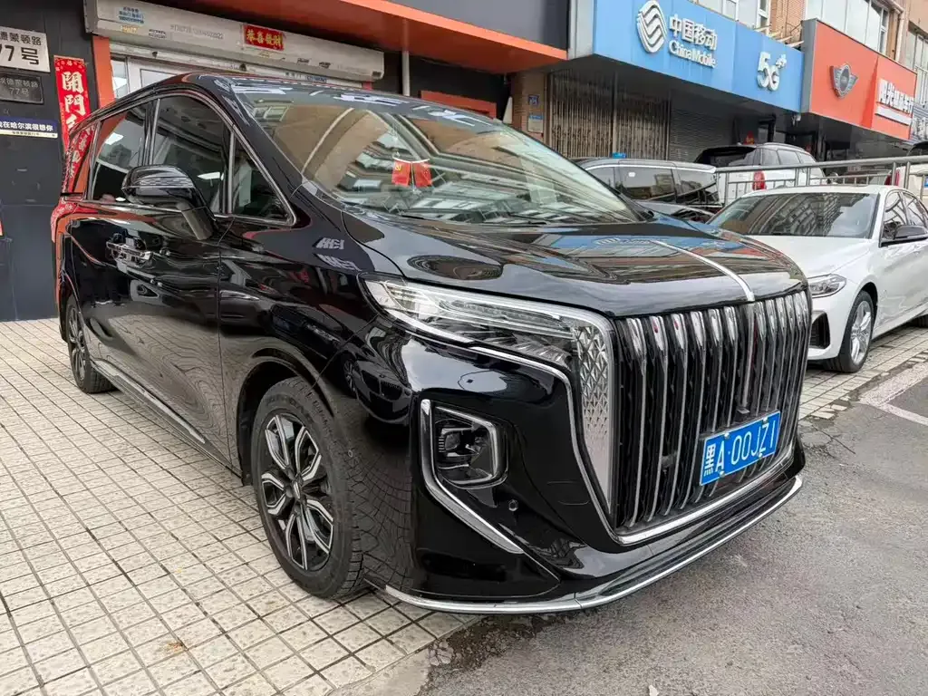 Hongqi HQ9 2023 из CN, фото 10