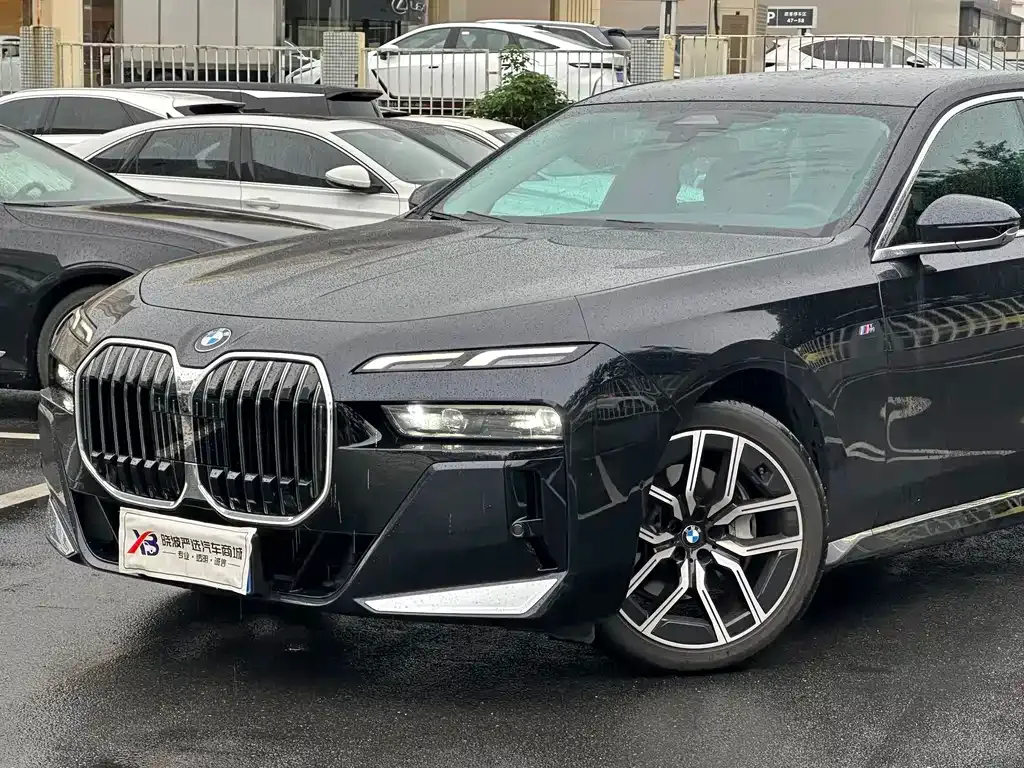 BMW 7 Series 2023 из CN, фото 9