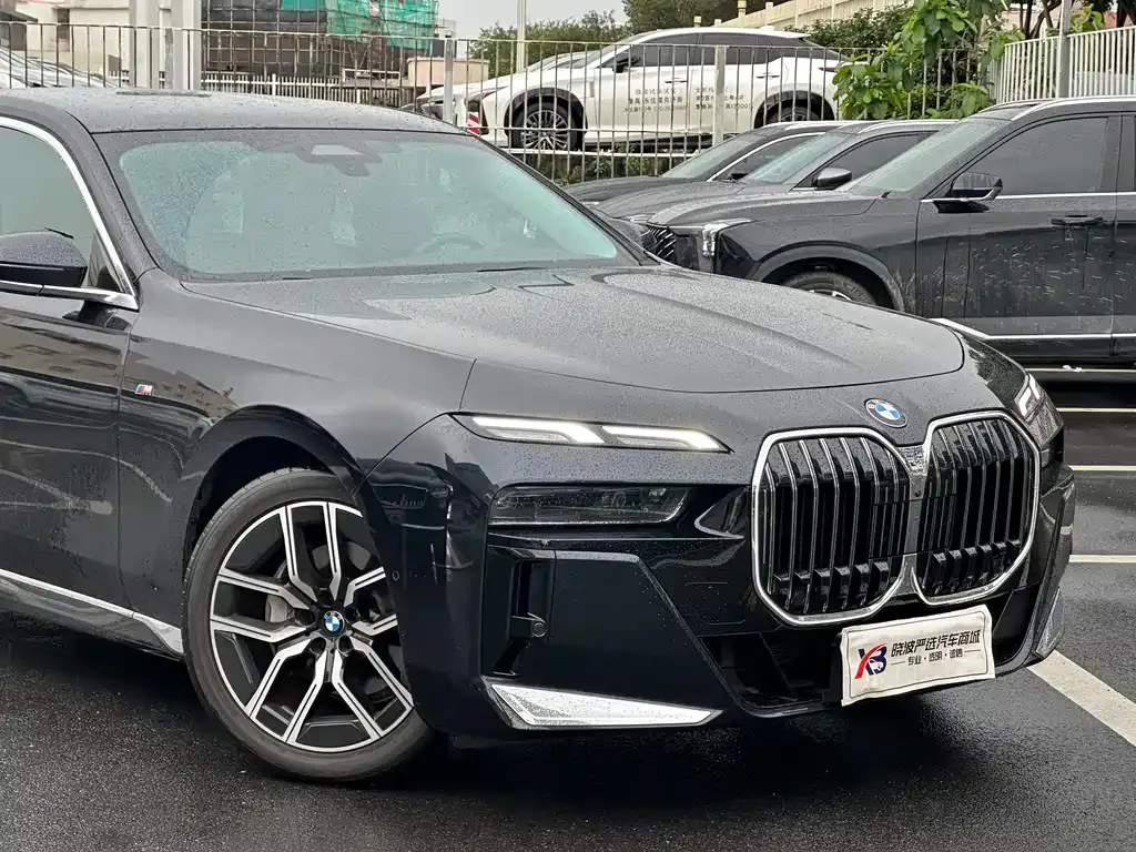 BMW 7 Series 2023 из CN, фото 8