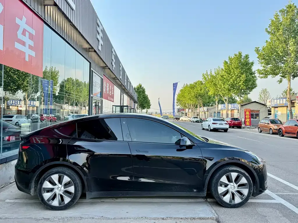 Tesla Model Y — фото 6