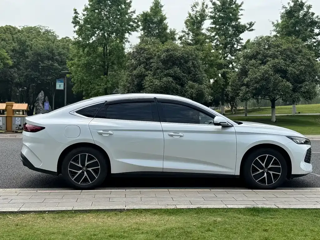 BYD Qin L — фото 5