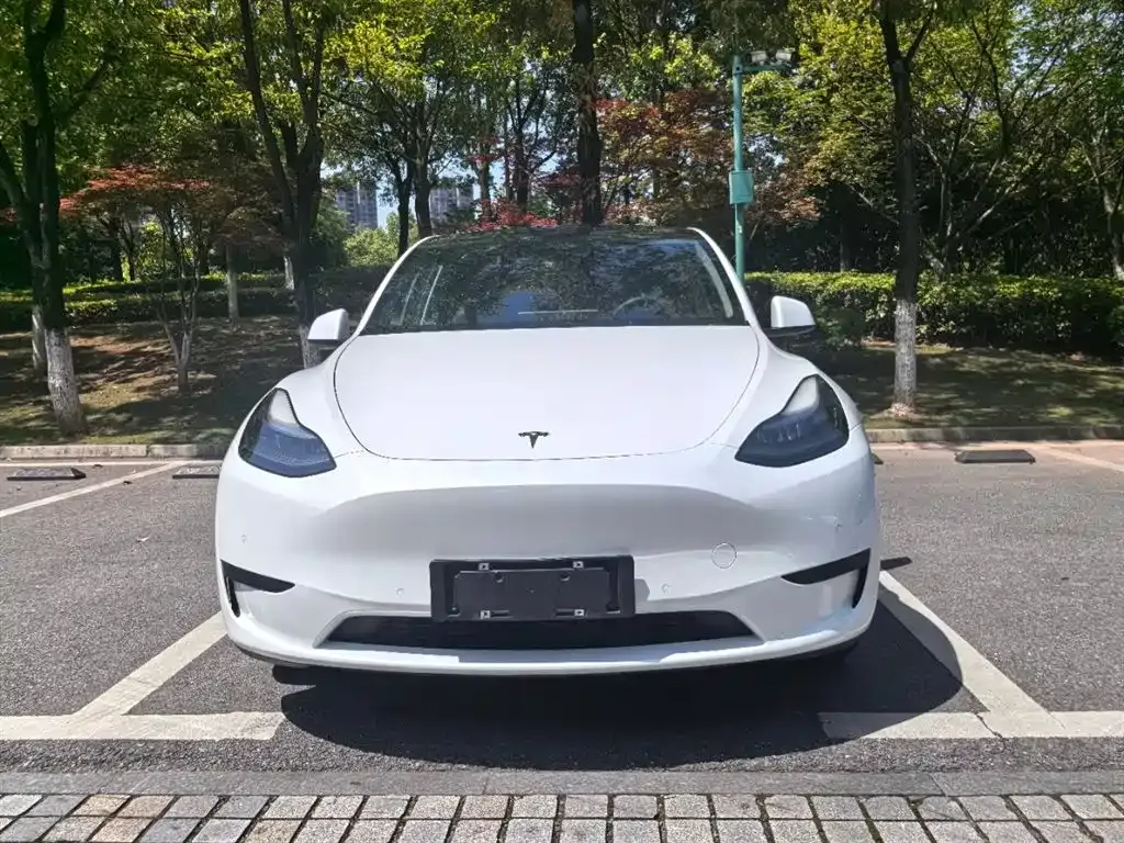 Tesla Model Y — фото 9