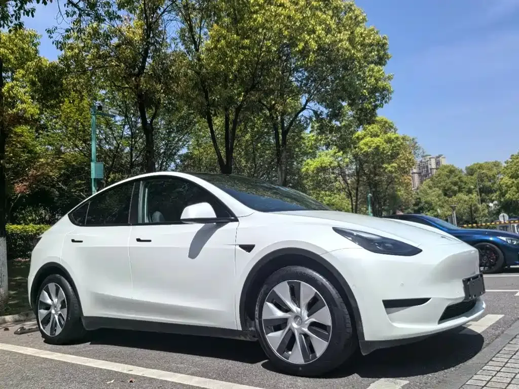 Tesla Model Y — фото 7