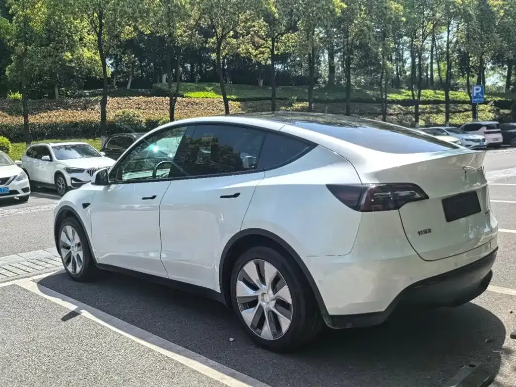 Tesla Model Y — фото 5
