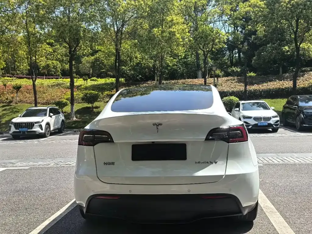 Tesla Model Y — фото 6