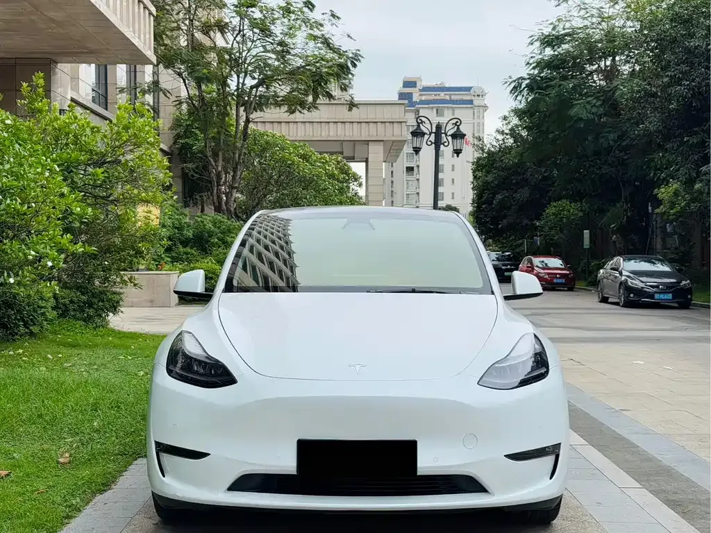 Tesla Model Y — фото 2