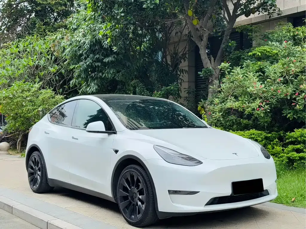 Tesla Model Y — фото 8