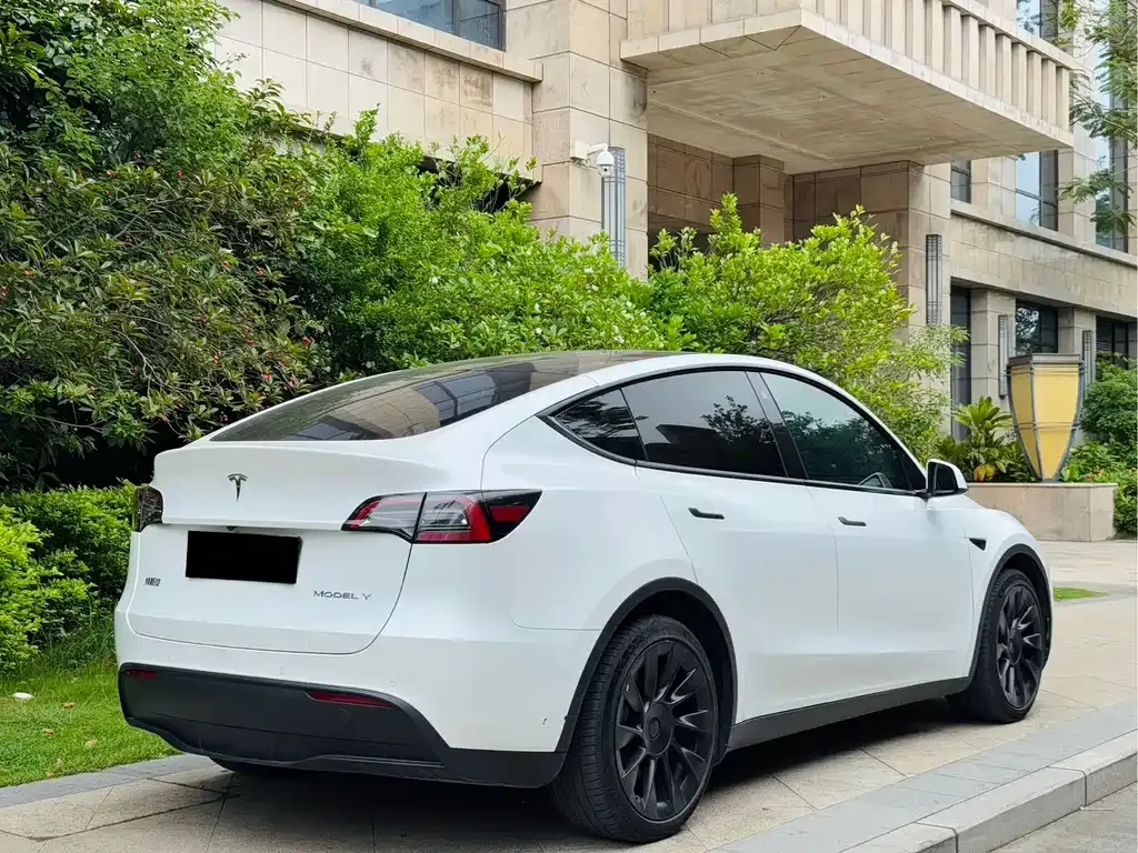Tesla Model Y — фото 5