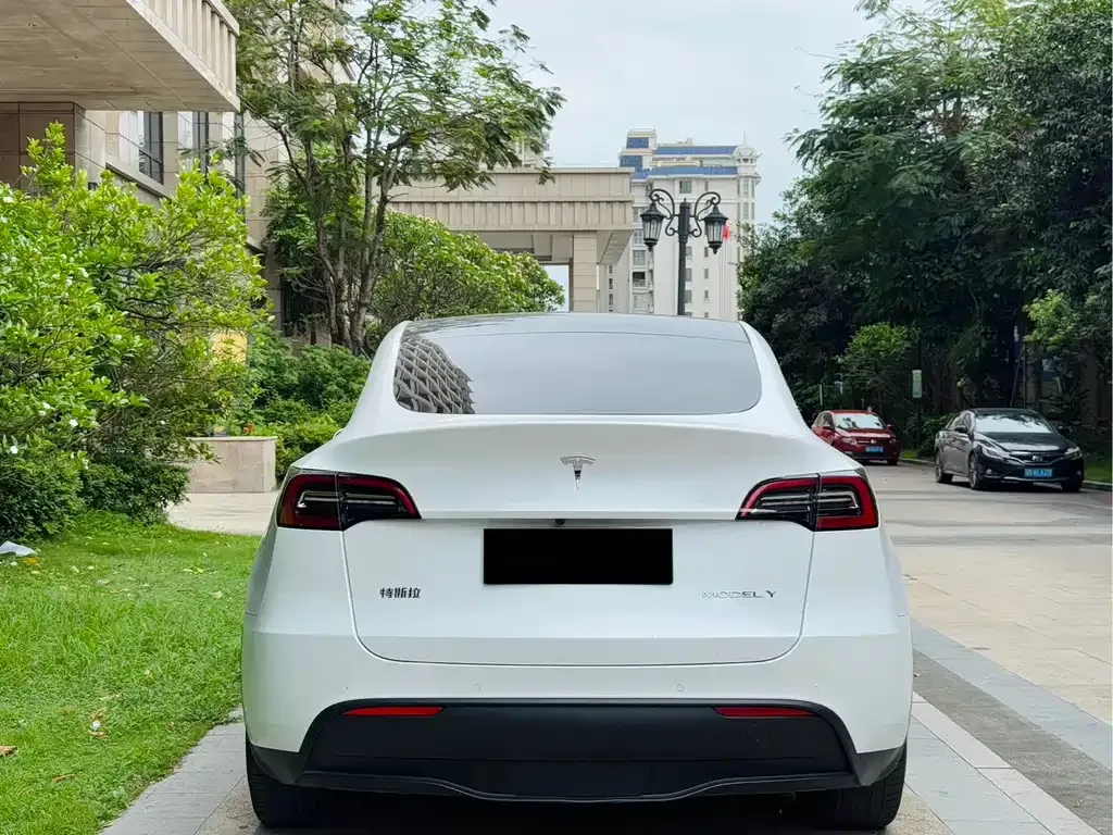 Tesla Model Y — фото 9