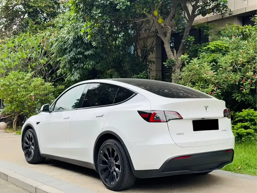 Tesla Model Y — фото 7