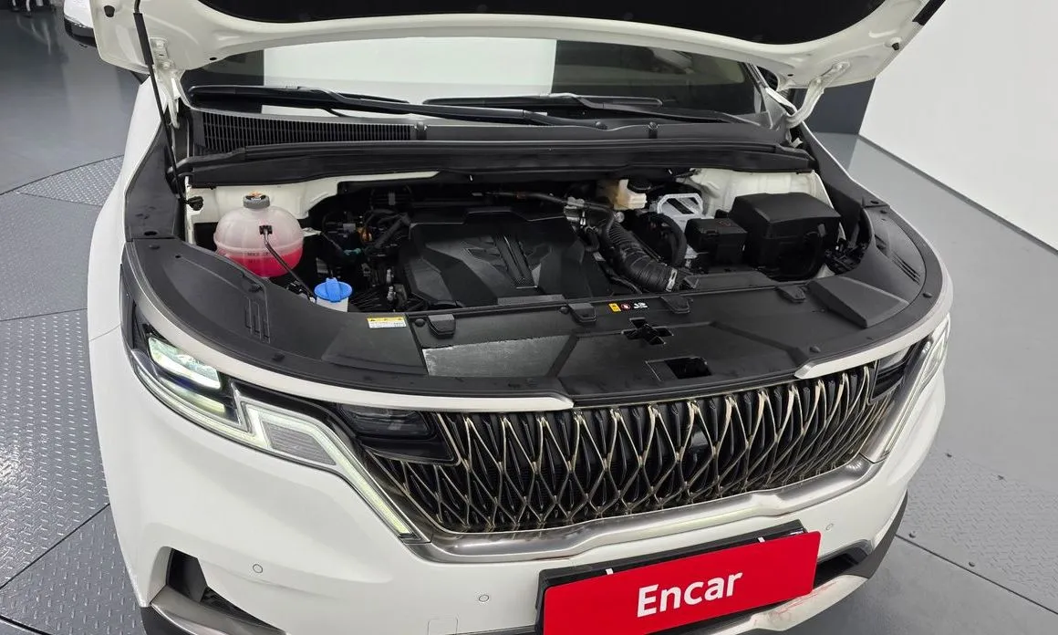Kia Carnival — фото 10