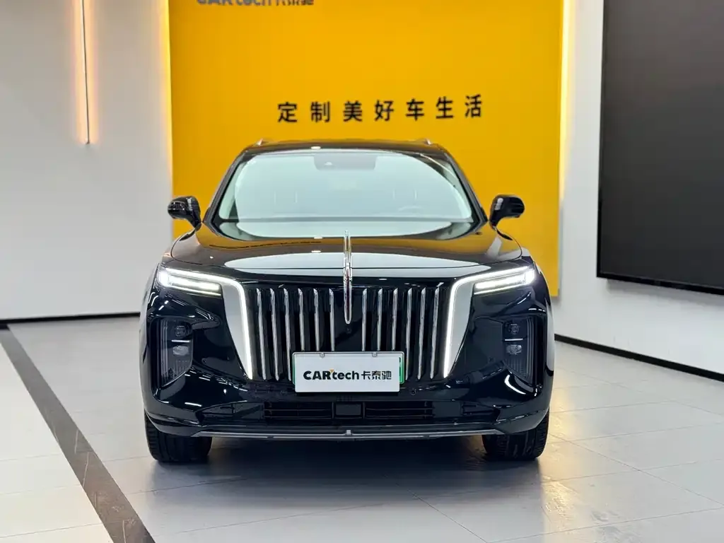 Hongqi E-HS9 2023 из CN, фото 4