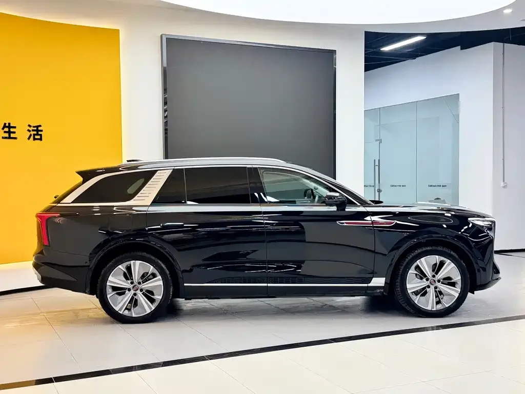 Hongqi E-HS9 2023 из CN, фото 10