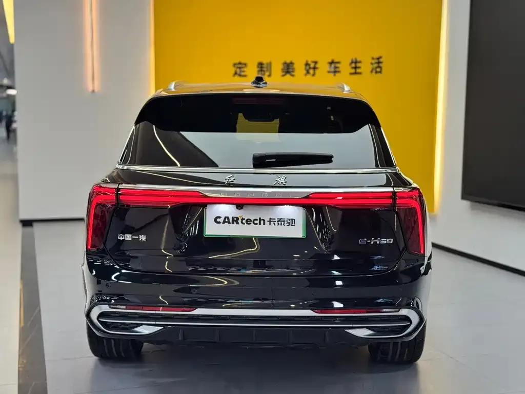 Hongqi E-HS9 2023 из CN, фото 9