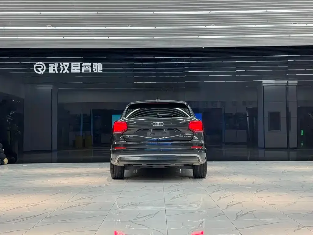 Audi Q2L e-tron 2021 из CN, фото 2