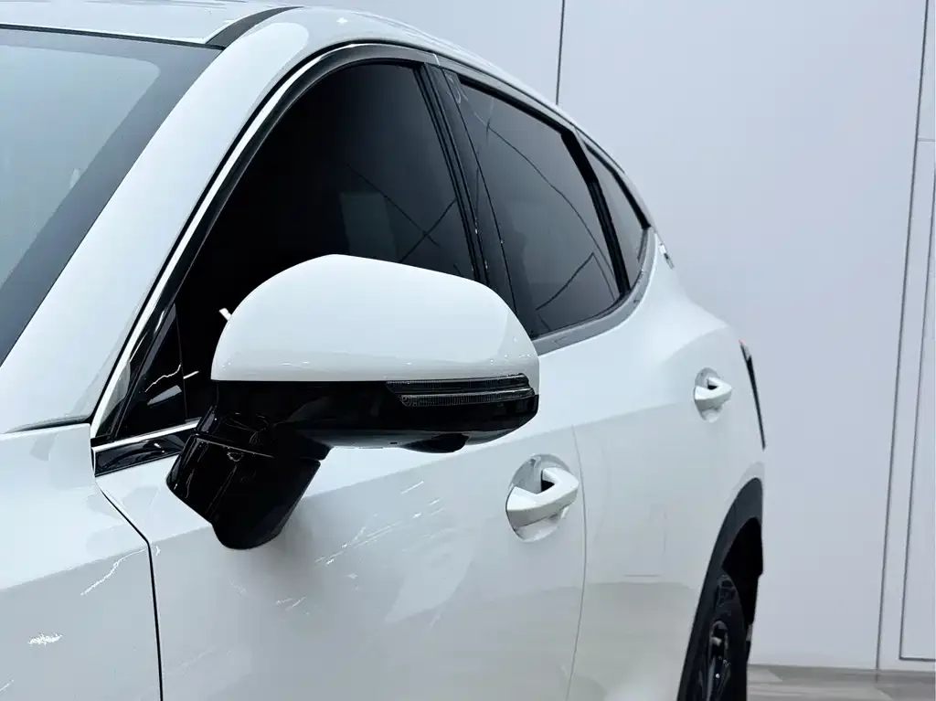 Jetour Dasheng 2024 из CN, фото 2