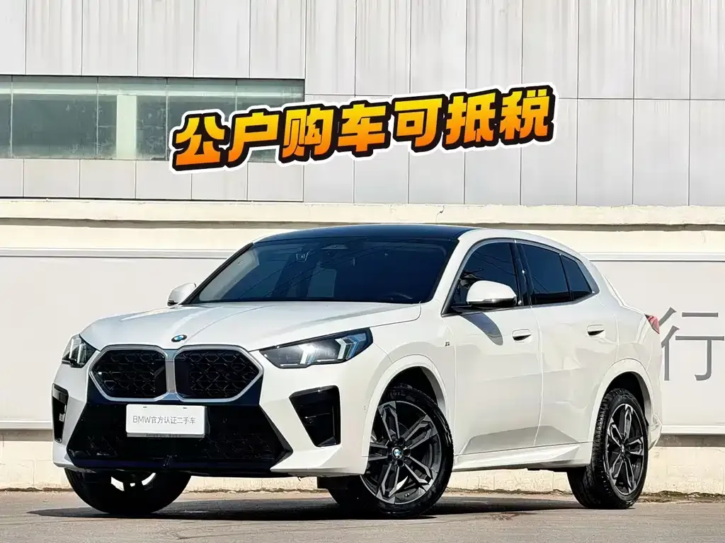 BMW X2 (Import) — фото 1