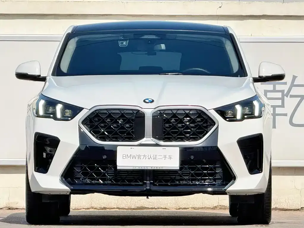 BMW X2 (Import) — фото 8