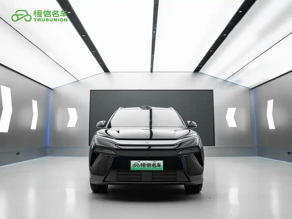 BYD Tang L — фото 3