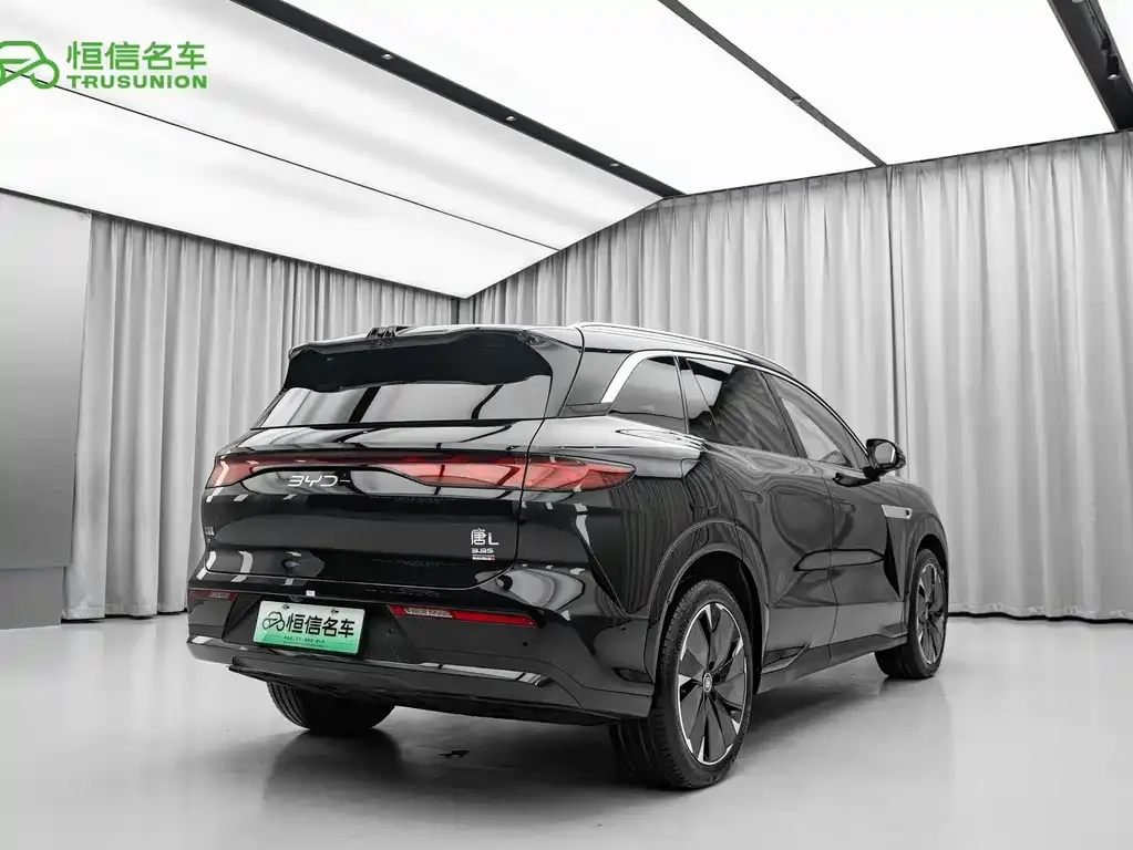 BYD Tang L — фото 7