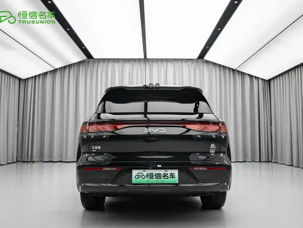 BYD Tang L — фото 10