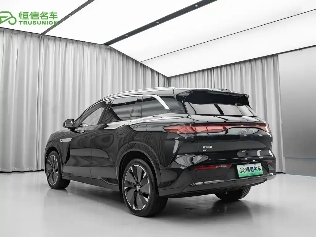 BYD Tang L — фото 8